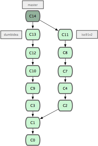GitBranch13