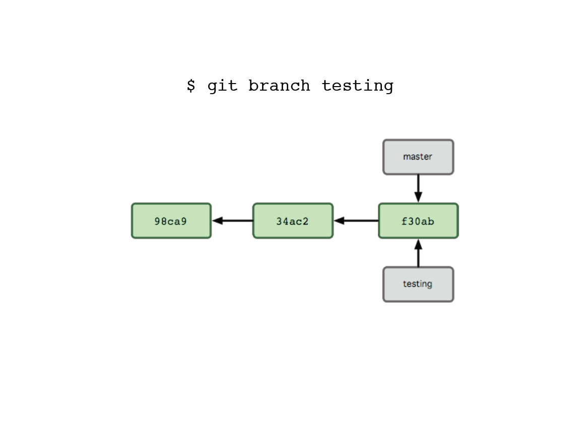 GitBranch2