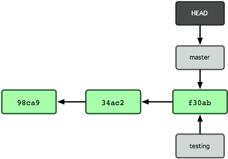 GitBranch3