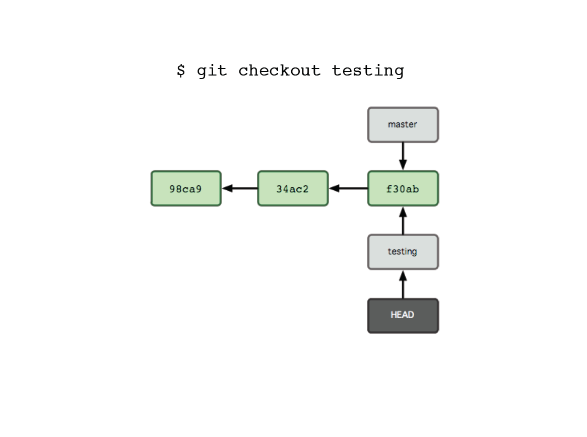 GitBranch4