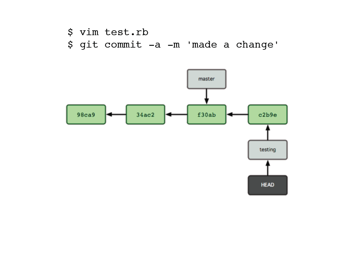 GitBranch5