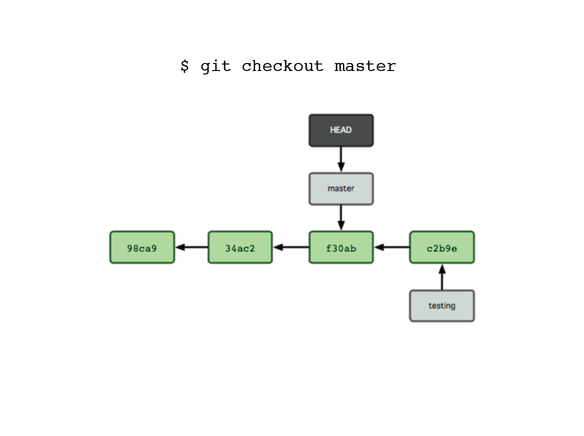 GitBranch6