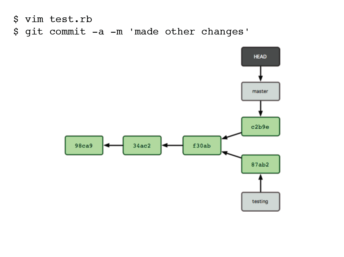GitBranch7