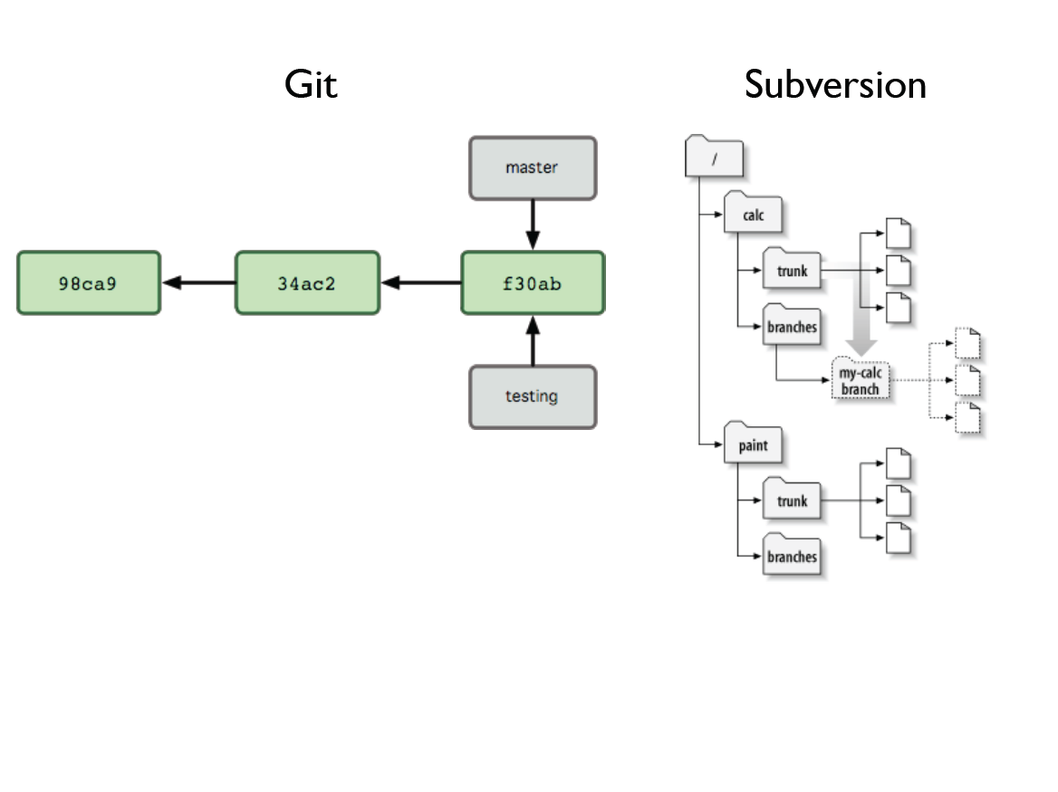 GitBranch8